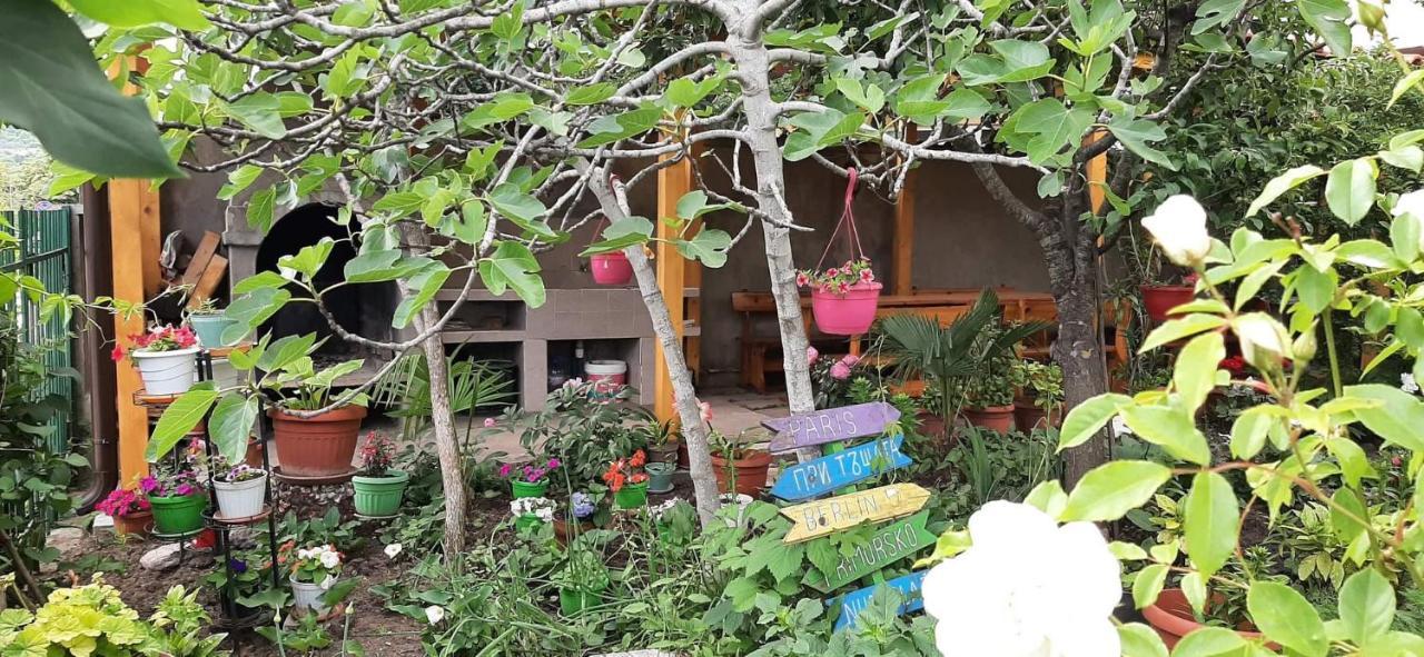 Apartament Family House Primorsko Zewnętrze zdjęcie